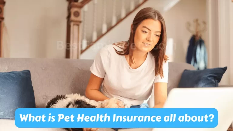 What is Pet Health Insurance All About?