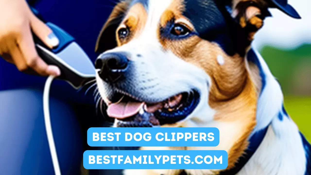 Best Dog Clippers