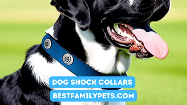 Dog Shock Collars