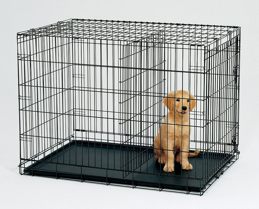 Why You Need To Buy Midwest Dog Crates