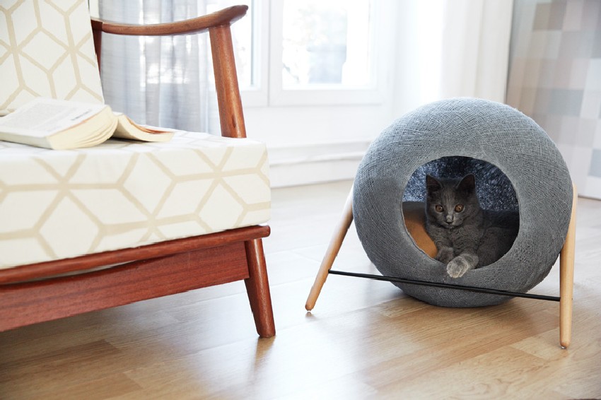 modern cat bed