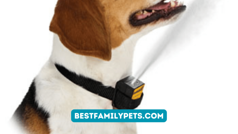 Dog Bark Collar