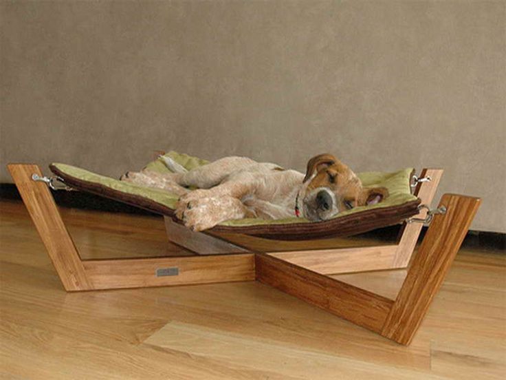 Unique Types of Luxury Pet Furniture