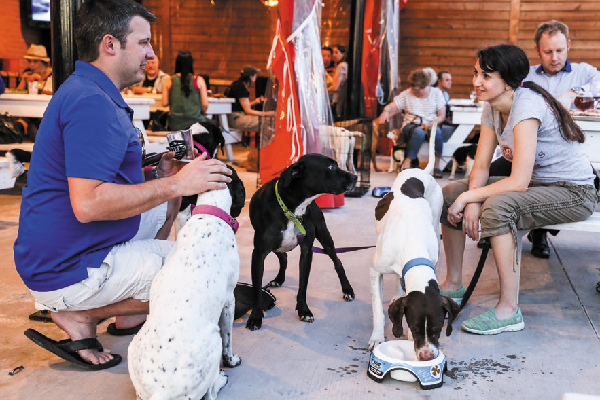 How Cane Rosso Restaurant Is Helping Rescue Dogs