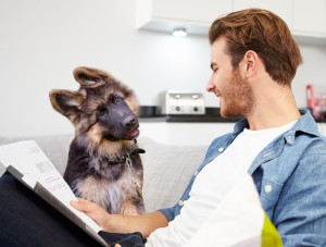 How Can You Teach A Dog Its Name ?