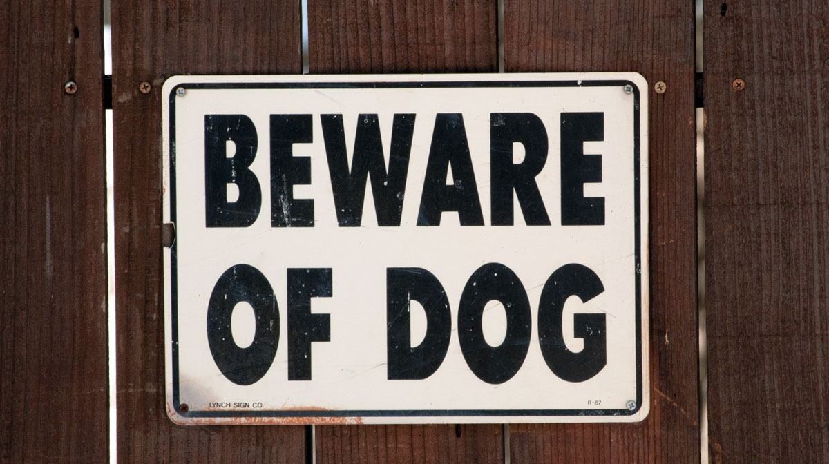 beware-of-dog-sign-doesn-t-live-up-to-its-name-in-hilarious-little-video