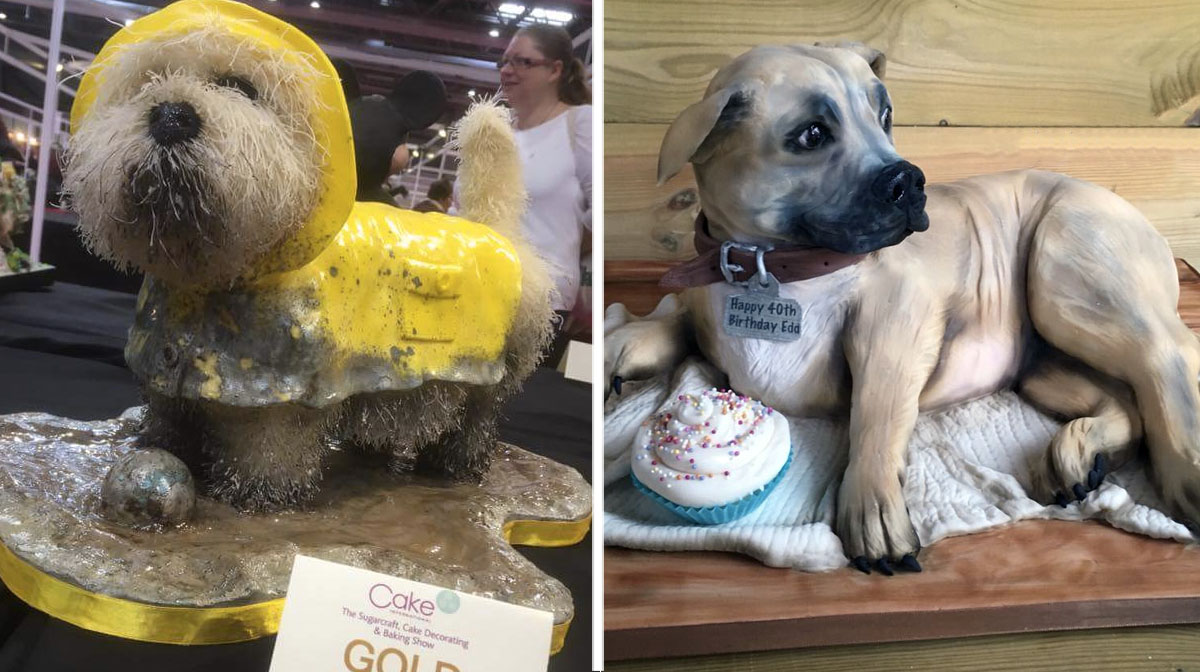 Talented British Baker Wows with Lifelike Dog Cakes