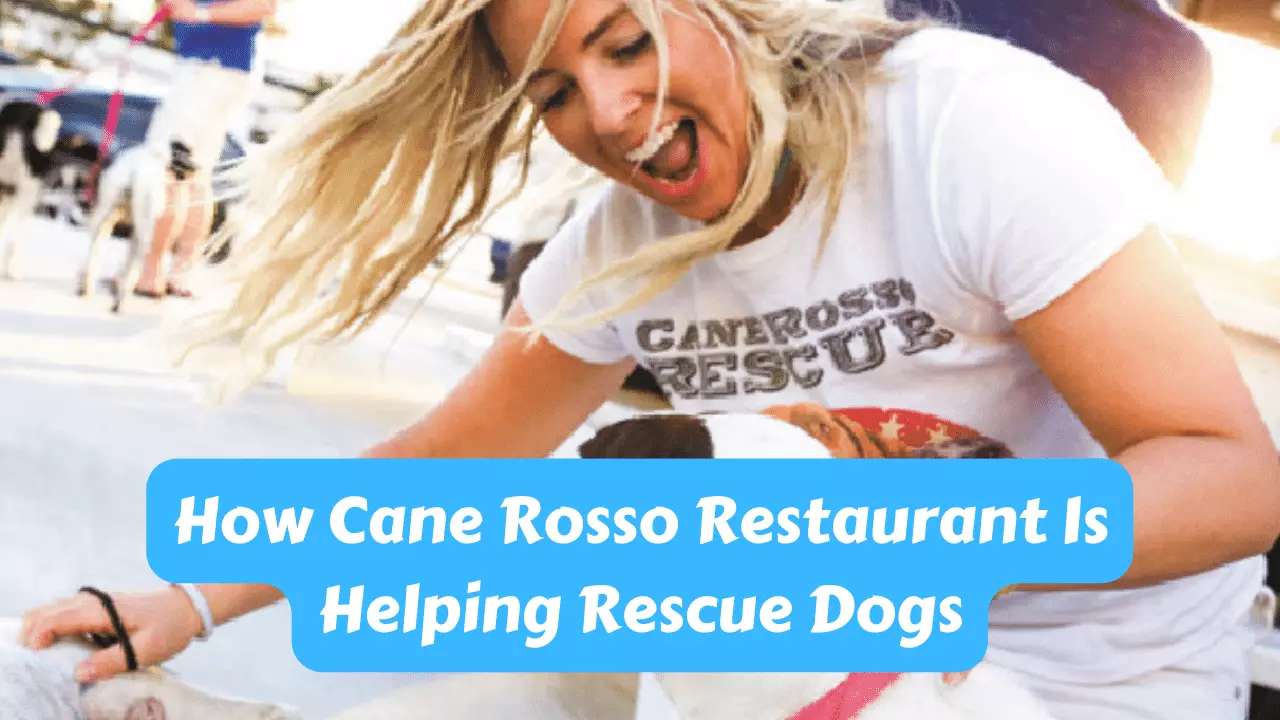 How Cane Rosso Restaurant Is Helping Rescue Dogs?