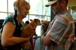 Austin Animal Center to host ‘Pokémon Go’ party to get dogs adopted