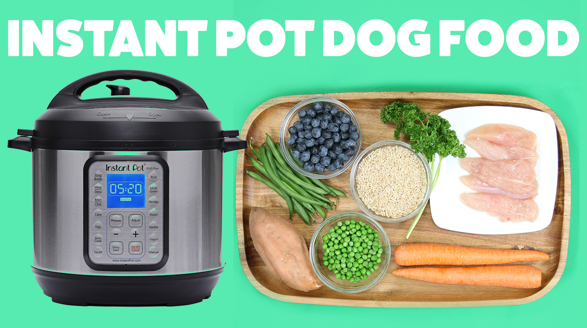 Easy DIY Dog Food You Can Make in Your Instant Pot