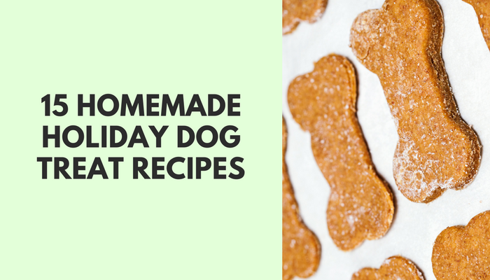 15 Homemade Holiday Dog Treat Recipes