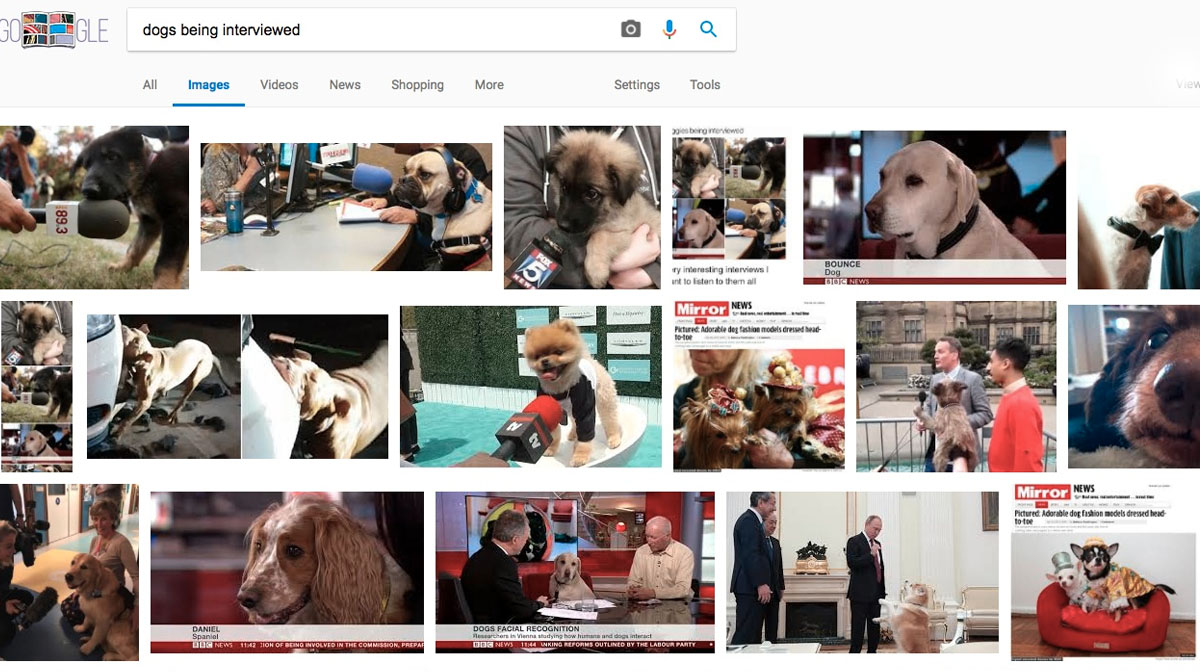 Dog Lover Shares Her Google Search Secret to Happiness and Everybody’s Trying It