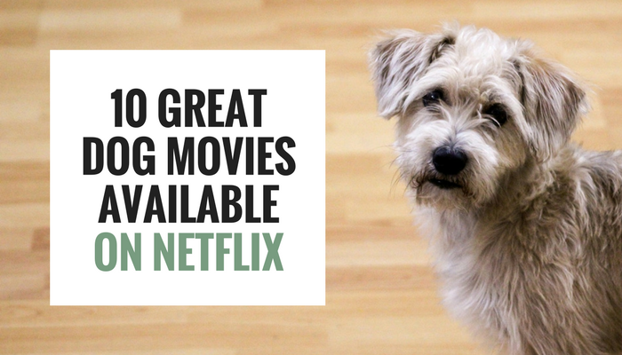 10 Great Dog Movies Available on Netflix