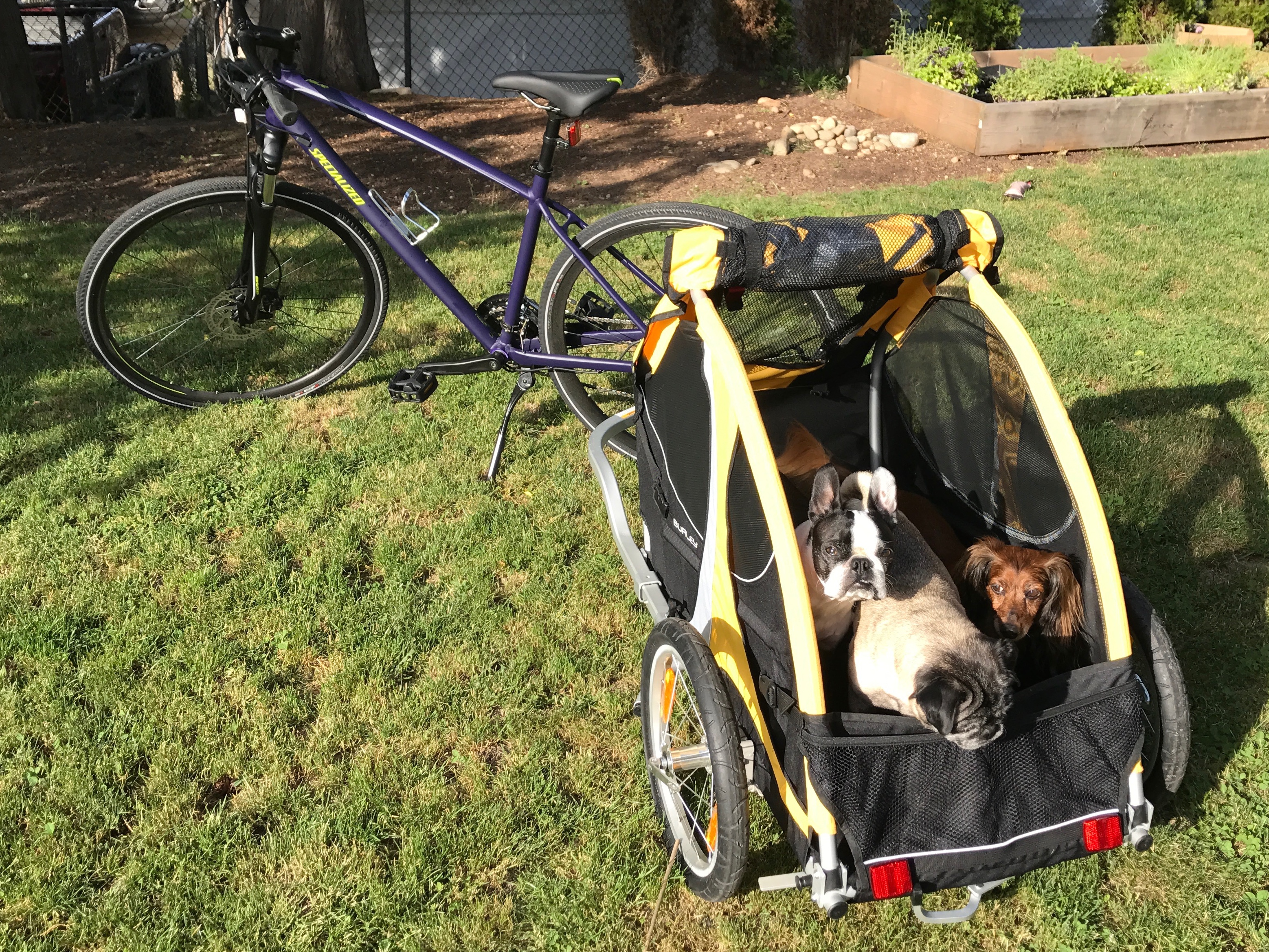 small bike trailer for dog