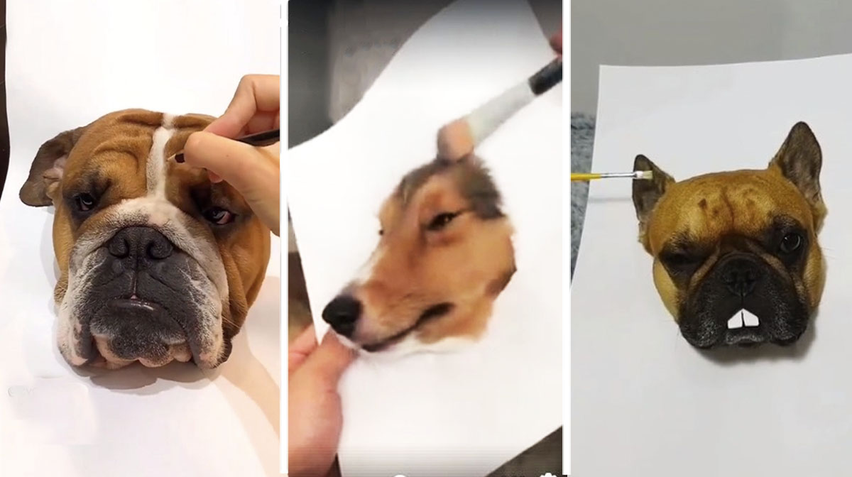 The 3D Dog Painting Trend That’s Too Real to Be True [Video]