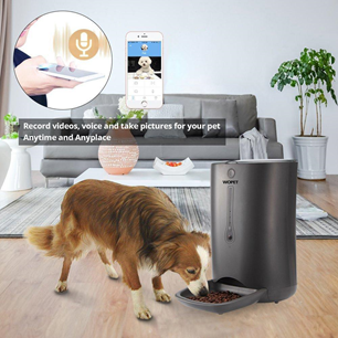 Best Automatic Pet Feeders