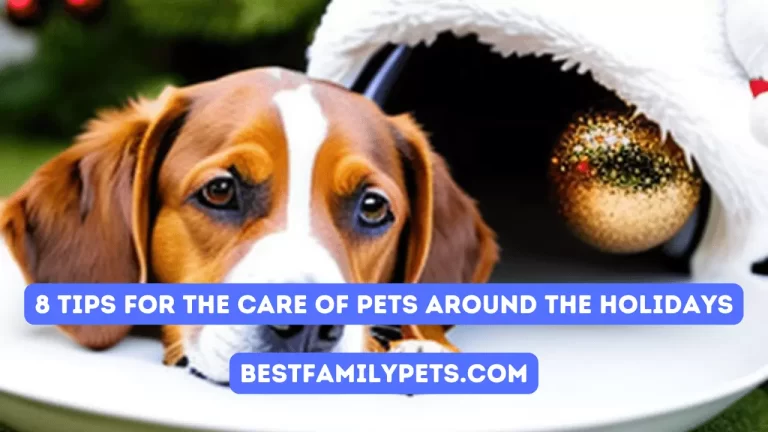 Eight Tips For The Care of Pets Around The Holidays