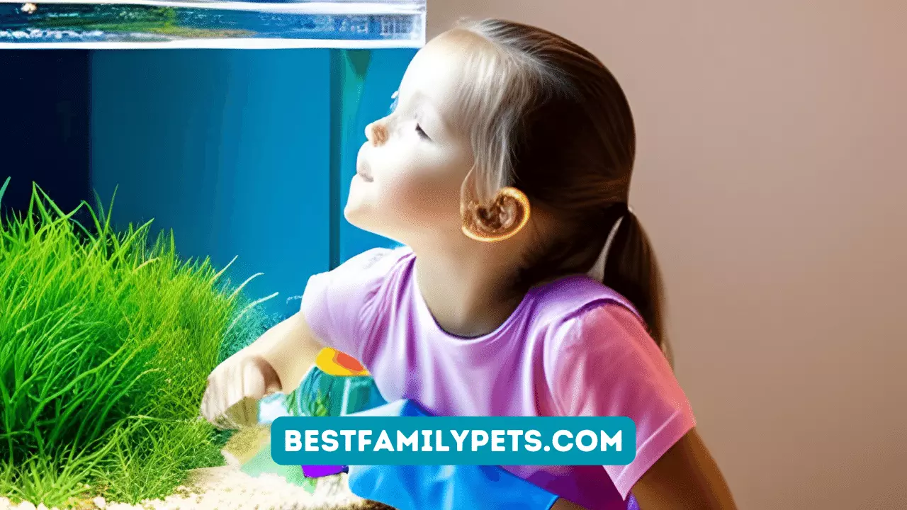 Steps to Start an Aquarium