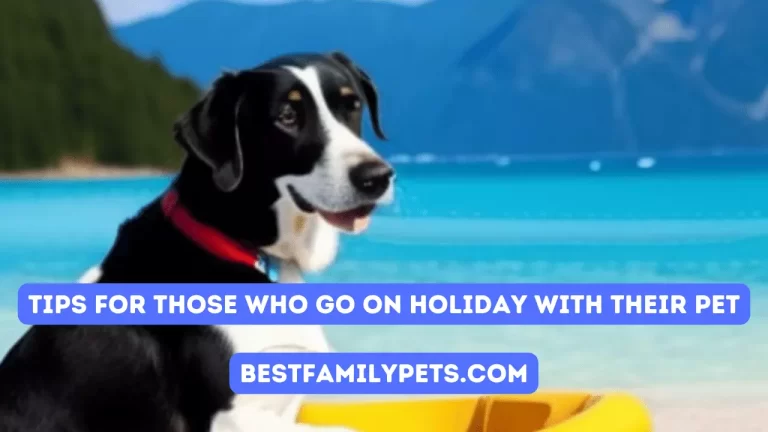 Tips for Those Who go on Holiday with Their Pet