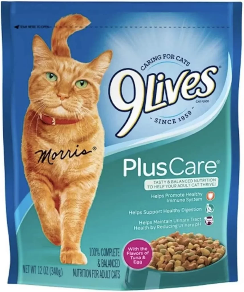  9Lives Cat Plus Care Dry Food 12oz #13291, 12 Ounce (Pack of 1), Multicolored 