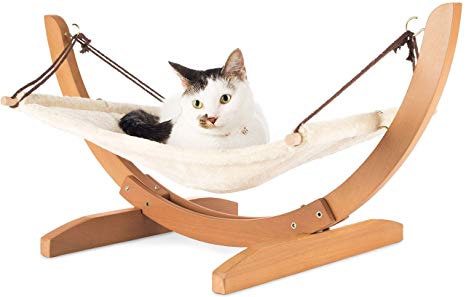 cat hammock