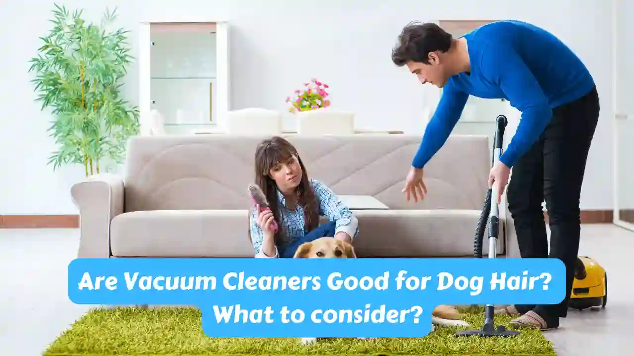 Are Vacuum Cleaners Good for Dog Hair What to consider