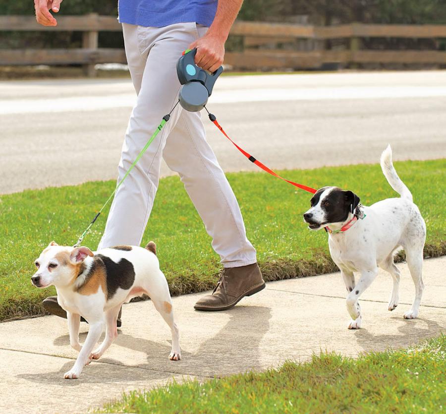 top rated dog leash
