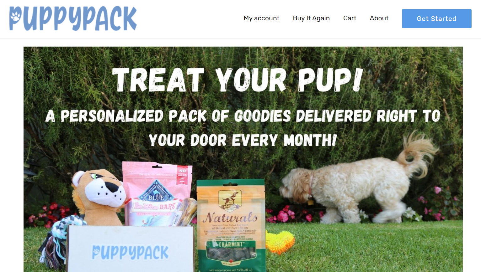 puppypackstore