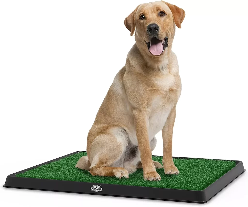 Artificial Grass Puppy Pee Pad for Dogs and Small Pets - 20x25 Reusable 3-Layer Training Potty Pad with Tray - Dog Housebreaking Supplies by PETMAKER