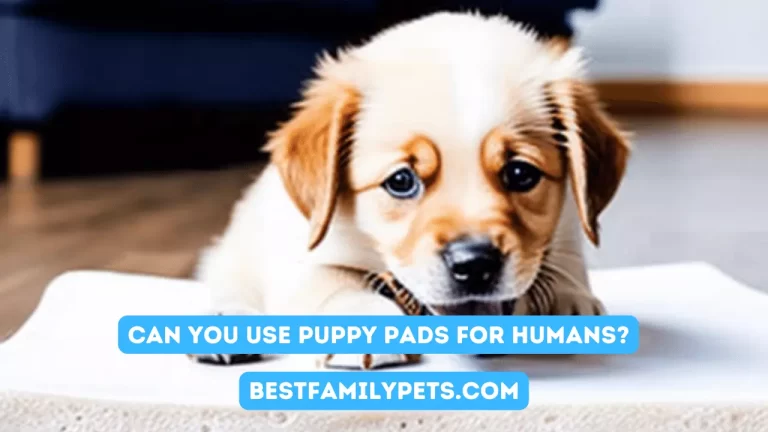 Can You Use Puppy Pads for Humans