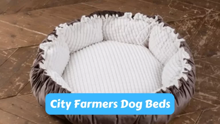 City Farmers Dog Beds