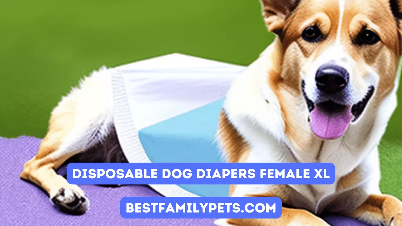 Disposable Dog Diapers Female XL