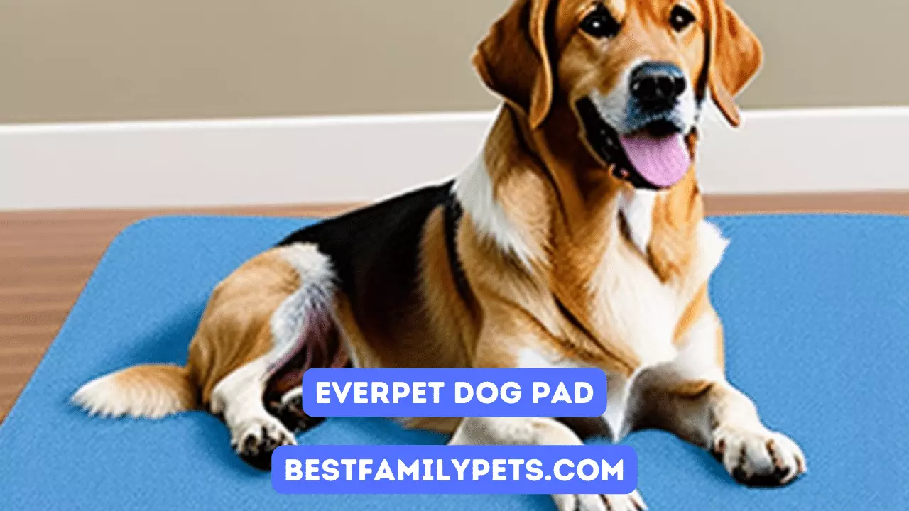 Everpet Dog Pad