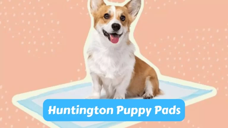 Huntington Puppy Pads