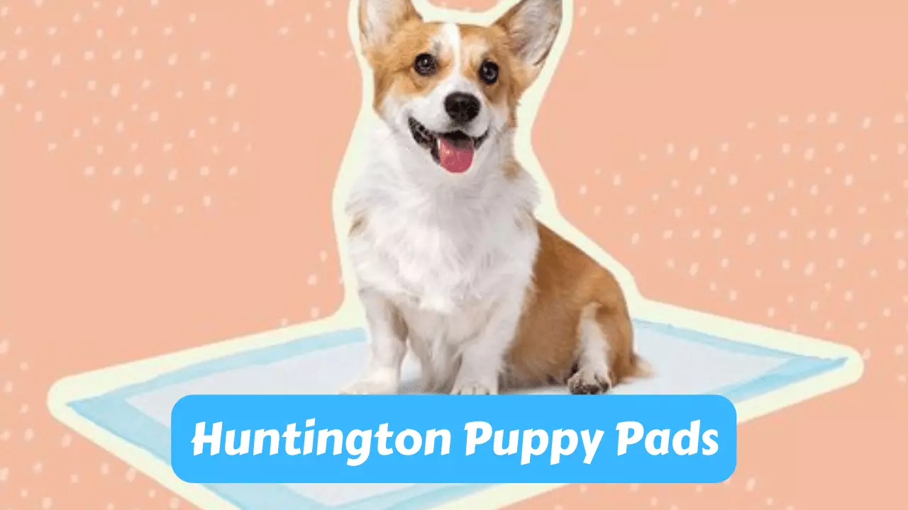 Huntington Puppy Pads: The Ultimate House Training Solution
