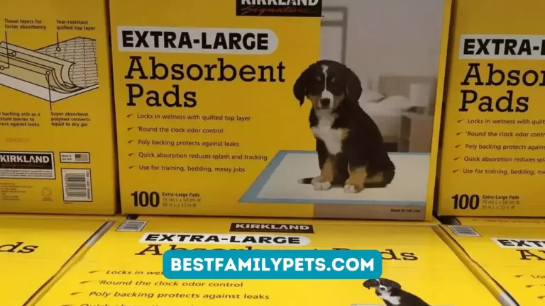 Kirkland Dog Pads Recall