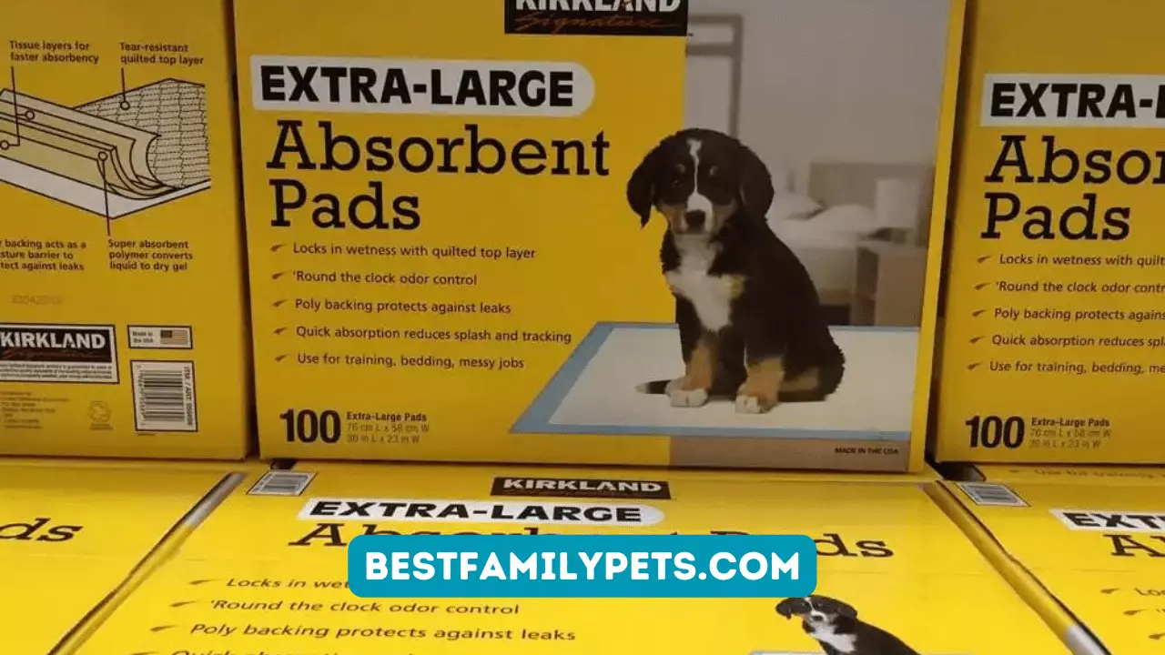 Kirkland Dog Pads Recall: How To Keep Your Pet Safe?