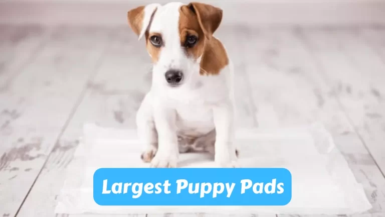 Largest Puppy Pads