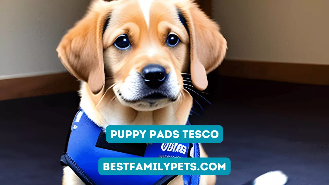 Puppy Pads Tesco