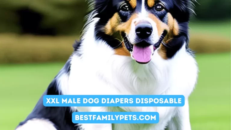 XXL Male Dog Diapers Disposable