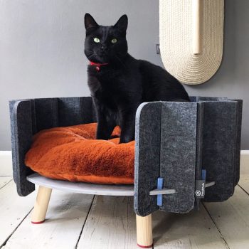 pets furniture