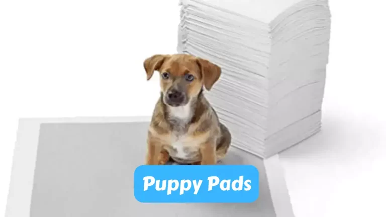 puppy pads