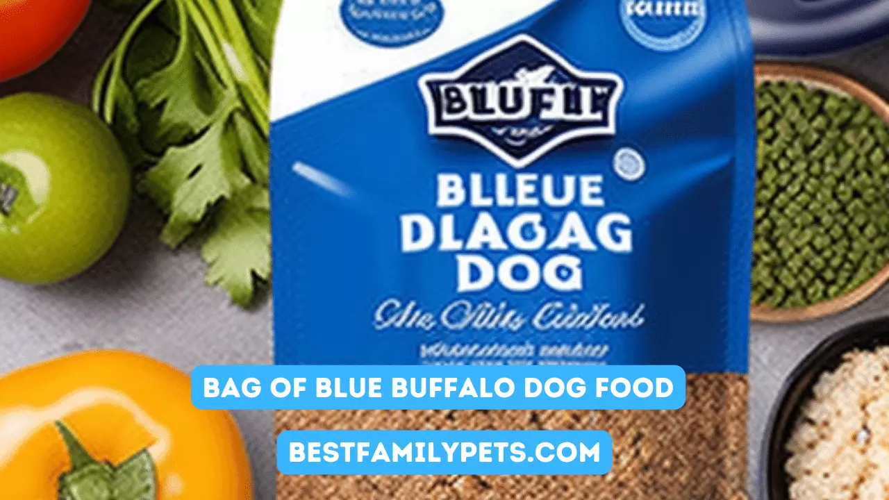 Bag of Blue Buffalo Dog Food