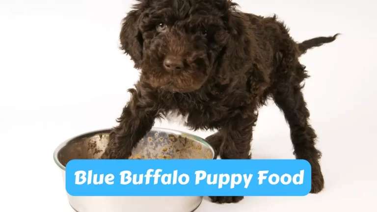 Blue Buffalo Puppy Food