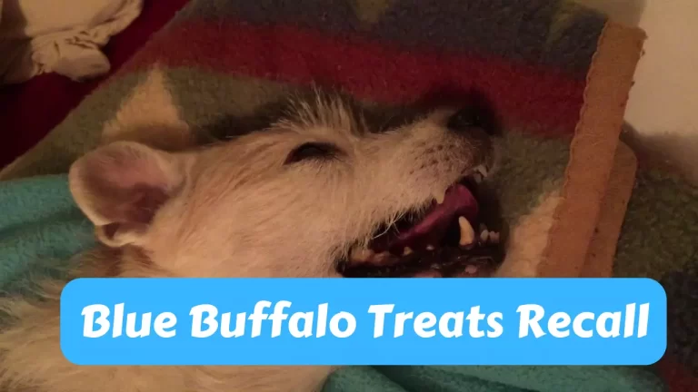 Blue Buffalo Treats Recall