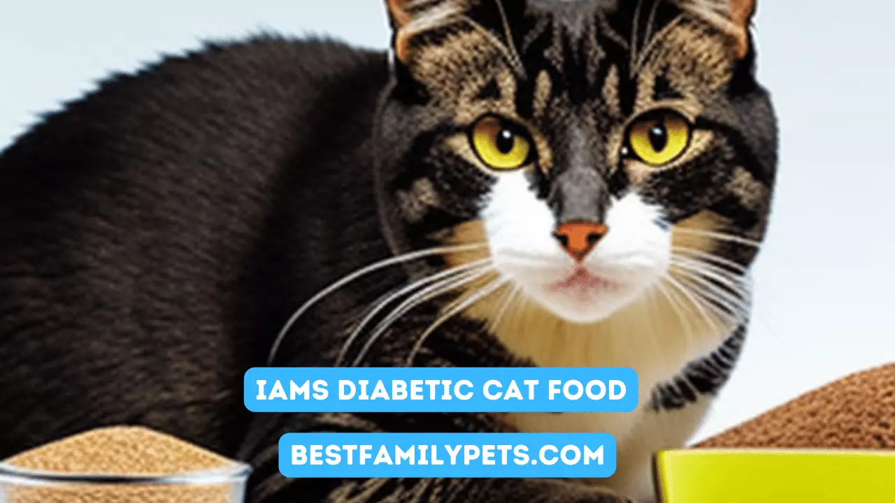 IAMS Diabetic Cat Food Meals and Fillers