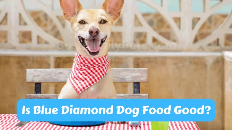 Is Blue Diamond Dog Food Good