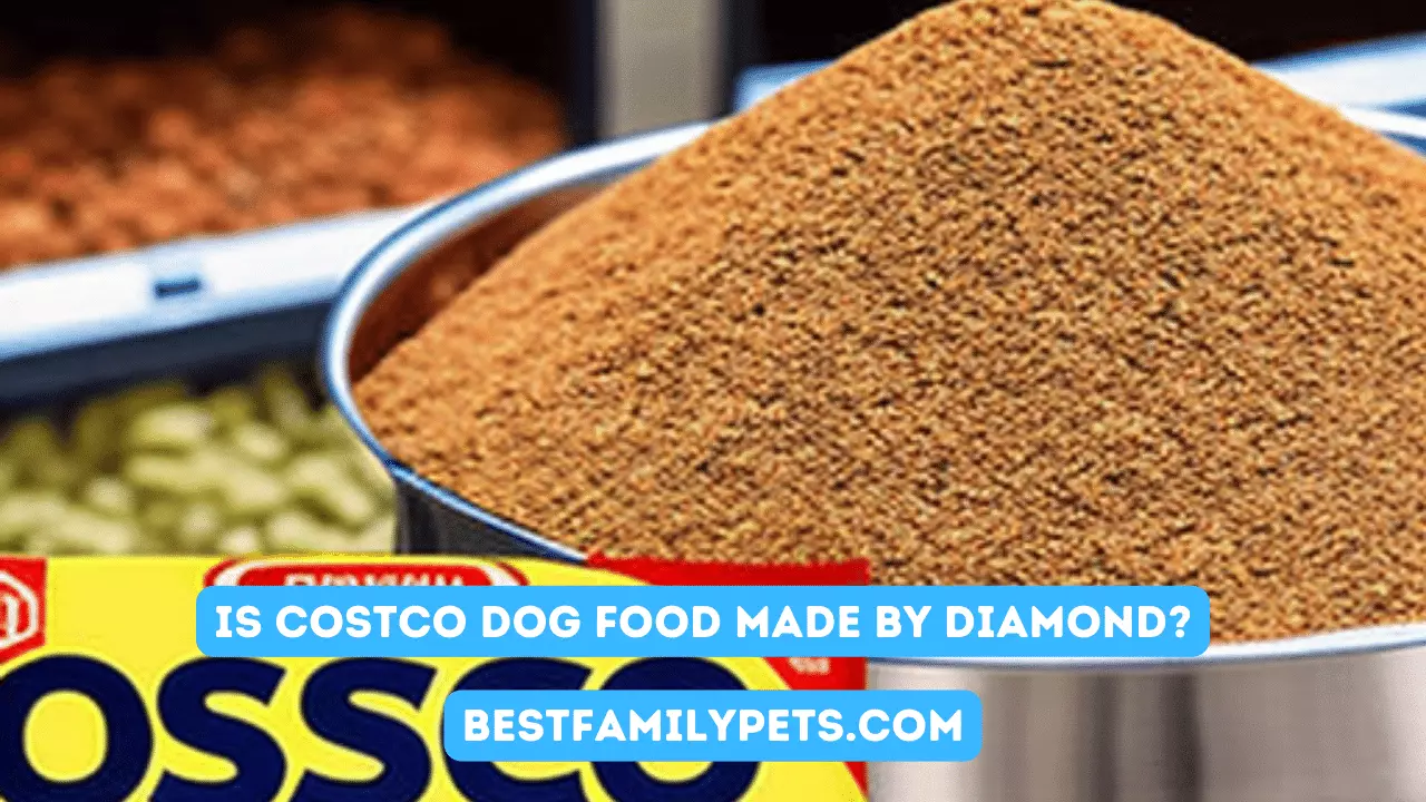 Is Costco Dog Food Made by Diamond