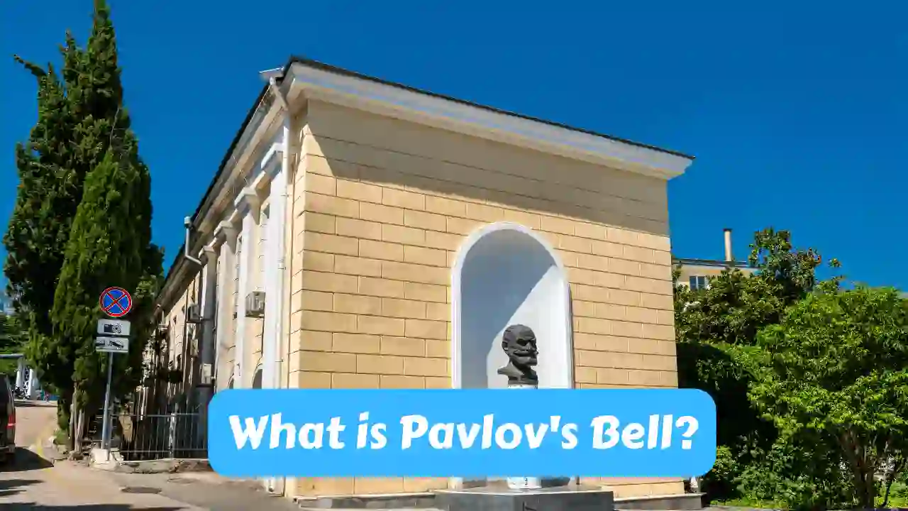 What is Pavlovs Bell - Pavlov's Bell