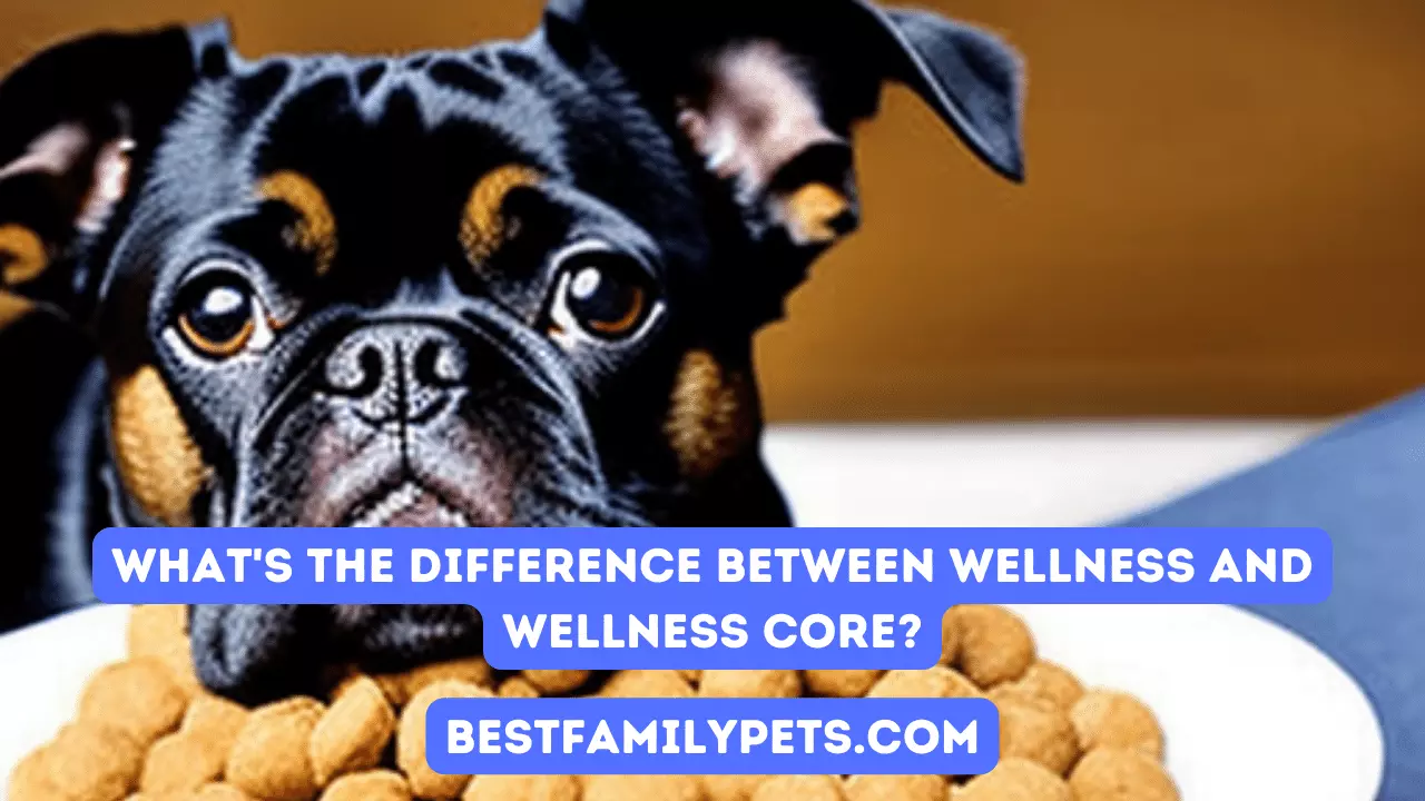What's the Difference Between Wellness and Wellness Core
